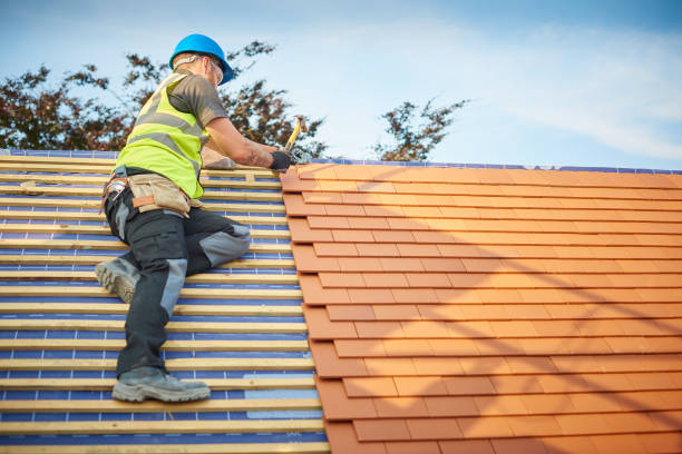 Best Asphalt Shingles Roofing  in Wayland, IA